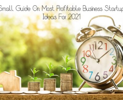 Small guide On Most Profitable Business Startup Ideas For 2021